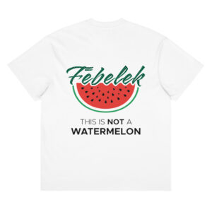 T-shirt boxy FĒBELEK –  Palestine