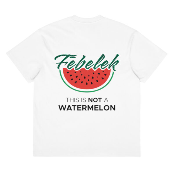 mens-box-tee-white-back-6a2c650cbec8c.jpg T-shirt boxy FĒBELEK – Palestine