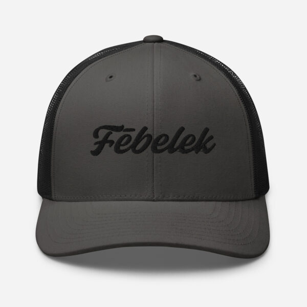 retro-trucker-hat-charcoal-black-front-6a2bdf3b07f0c.jpg Casquette Trucker Fēbelek Black Multi
