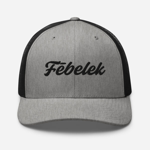 retro-trucker-hat-heather-black-front-6a2bdf3b09d17.jpg Casquette Trucker Fēbelek Black Multi